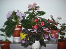 DSC07970