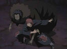 sasori