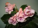 DSC07943