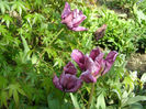 P1018955