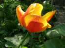 P1018966