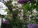 P1018981