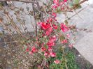 DSCN0394