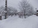 începutul lui 2014