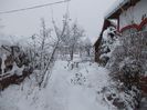 DSCN0304