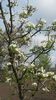 20140425_103103