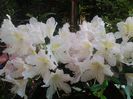 20140426_075906