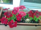 20140426_075849