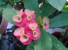 20140426_075623