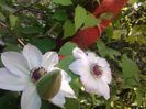 20140426_075716