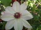 20140426_075646