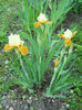DSCN1355_013
