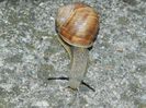 DSCN7440