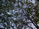 DSCN7464