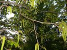 DSCN7465