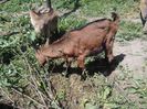 IMG_20140426_123309