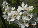 DSCN4806