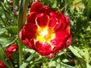 DSCN4807