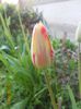 DSCN4814