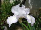 DSC07249