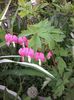 20140409_182225_resized