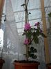 20140409_182522_resized