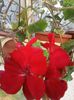 20140409_182543_resized