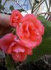 20140409_182723_resized