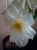 20140409_182846_resized