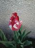 20140409_183149_resized
