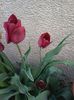 20140409_183207_resized