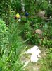 DSC07251