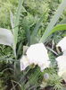 IMG_20140425_111924