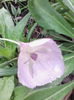 IMG_20140425_145558