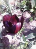 IMG_20140426_133440