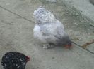 PICT0002