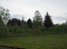 muzeu (42)