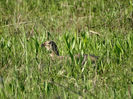 DSC01884