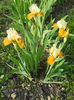 DSCN1387_030