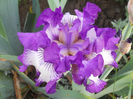 DSCN1394_037