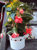DSC03641