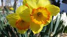 20140330_123053