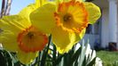 20140330_123102