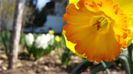 20140330_123111