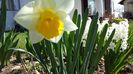 20140330_123231