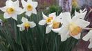 20140405_111323