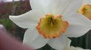 20140405_111403