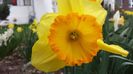20140405_112335