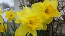 20140405_112454