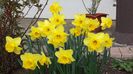 20140405_112511
